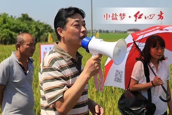 中鹽紅四方總經(jīng)理助理陳國慶