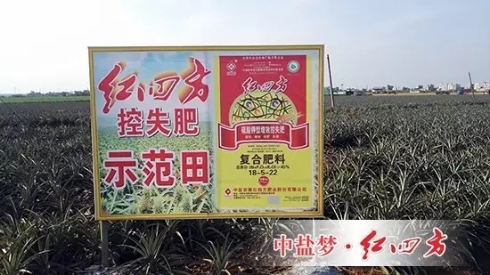 我們決定對(duì)高塔肥料南方包裝袋的縫合方式進(jìn)行改進(jìn)，目前客戶反饋的信息非常良好，連帶著銷售積極性都增強(qiáng)許多。