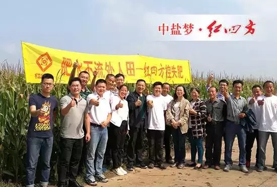 全國農(nóng)技推廣中心孟遠奪（左七），吉林省土肥總站、扶余土壤肥料站等領(lǐng)導、專家，紅四方副總經(jīng)理陳勇（左八）全程參與本次走訪活動。.webp.jpg